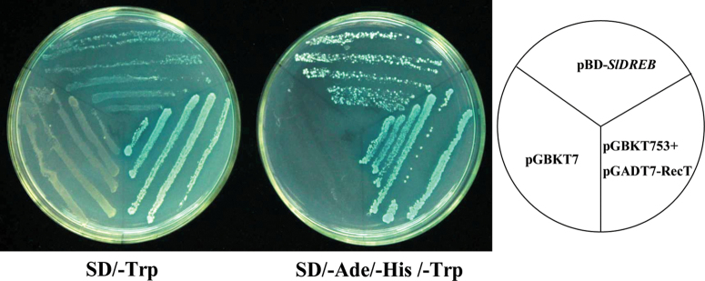 Fig. 3. 