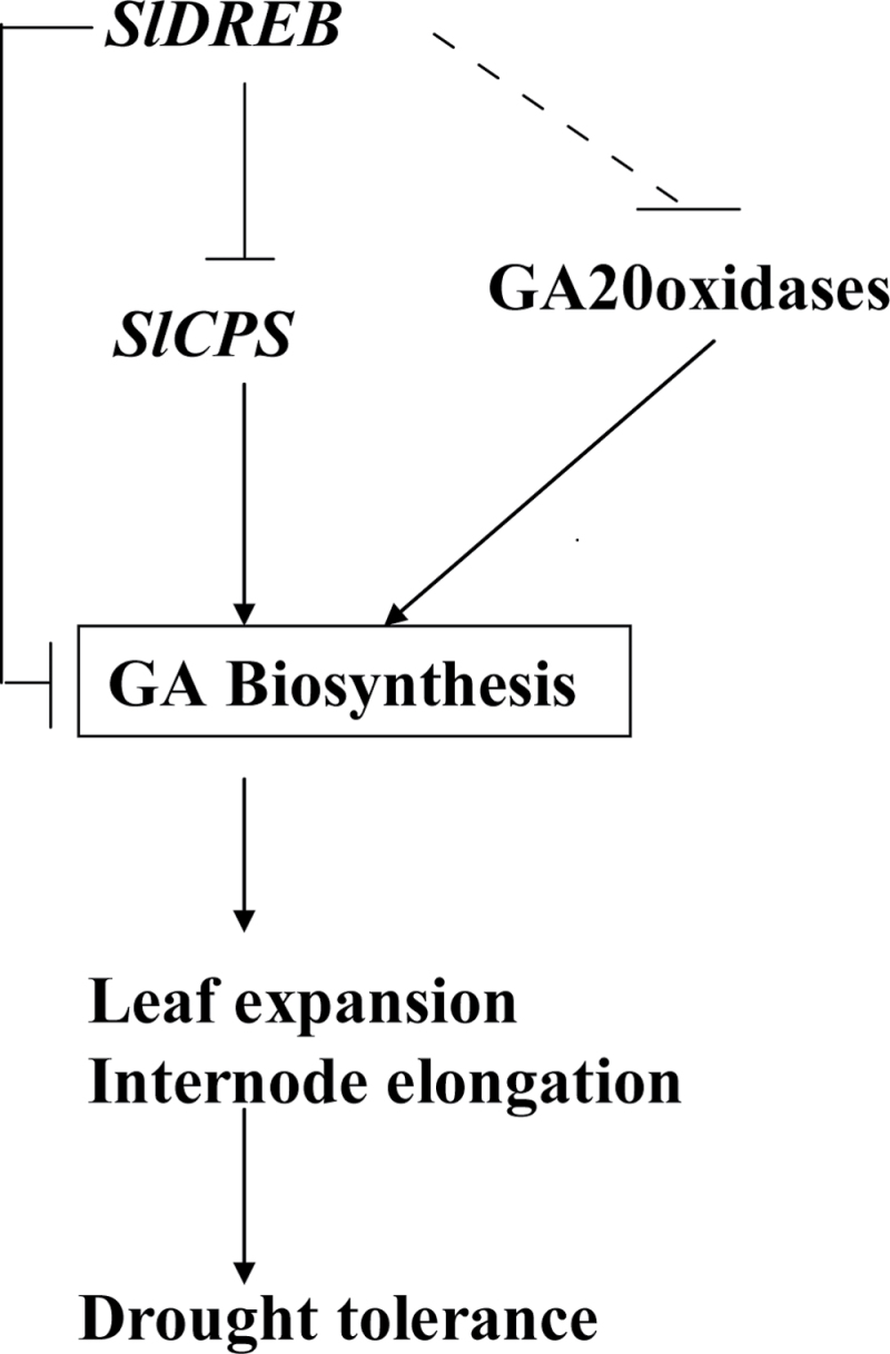 Fig. 9. 