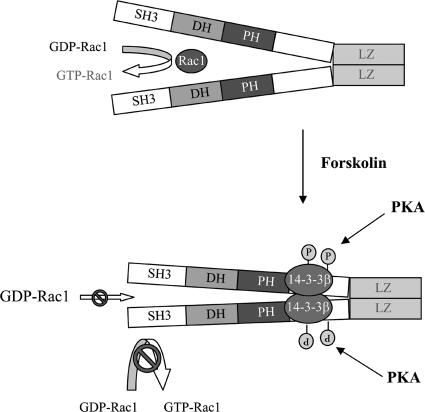 FIG. 8.