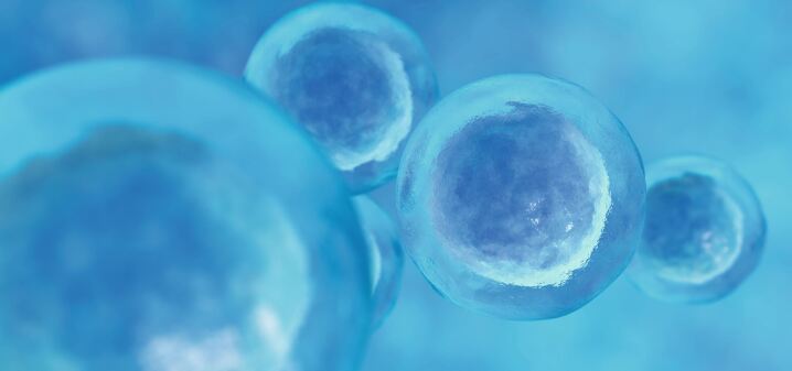 graphic file with name 15005_2022_3002_Fig1_HTML.jpg