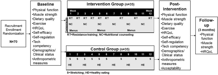 Fig 2