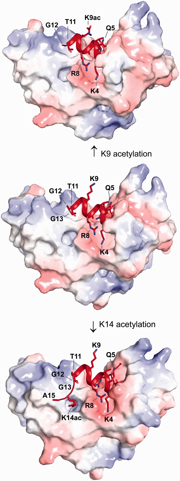 Figure 3.