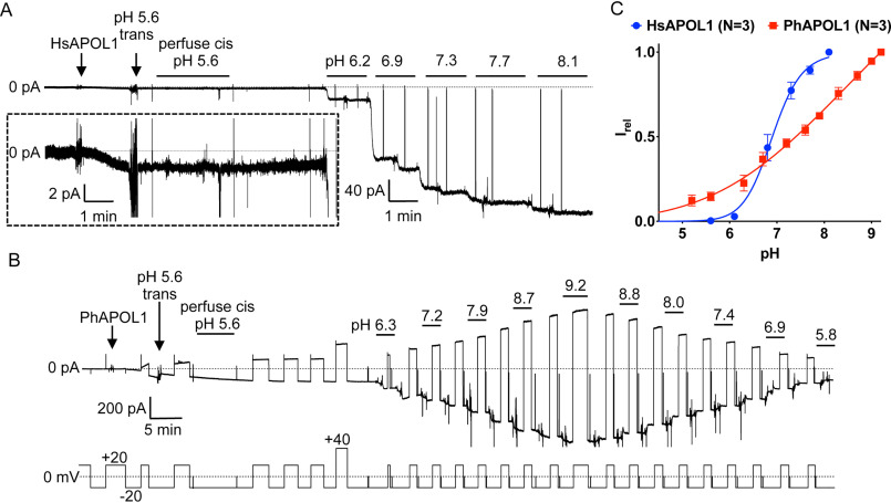 Figure 4.