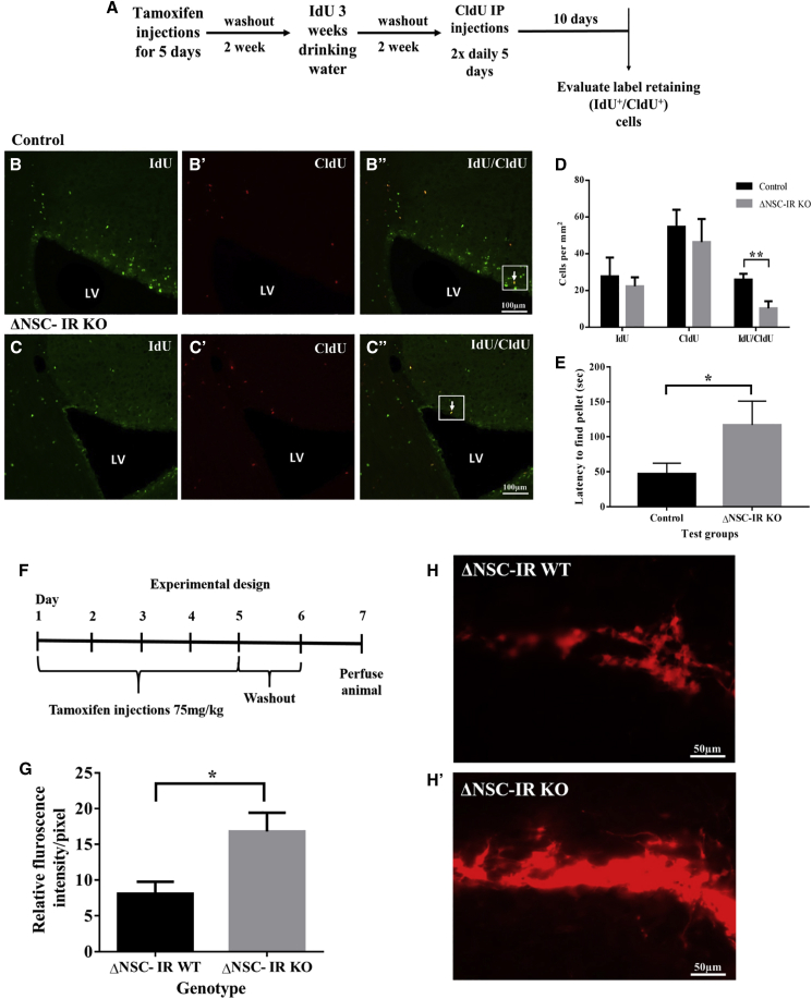 Figure 2