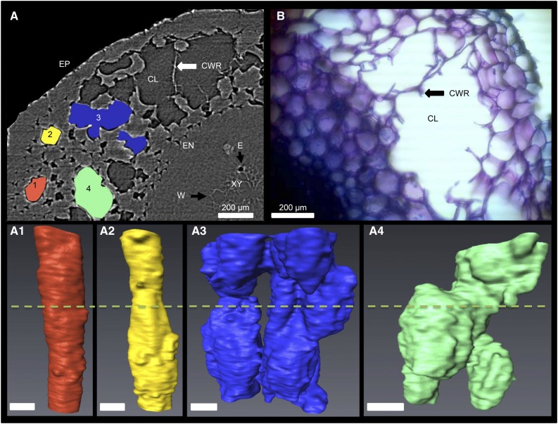 Figure 3.