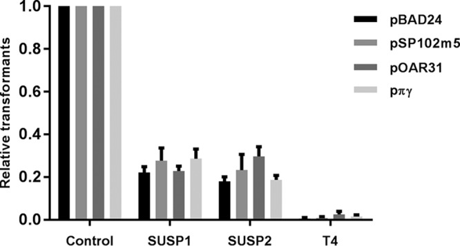 FIG 2 