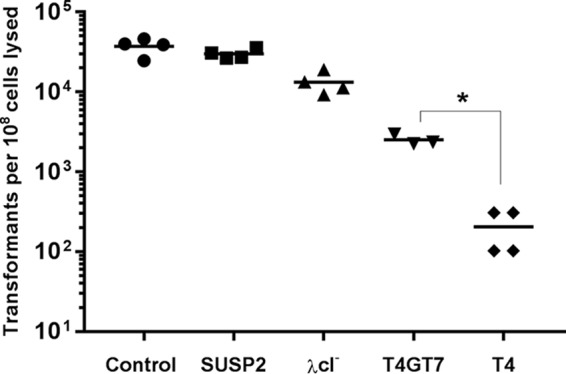 FIG 3 