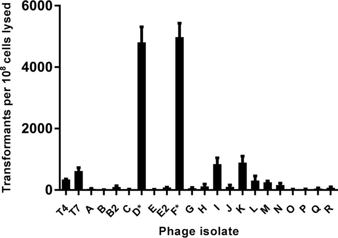 FIG 1 