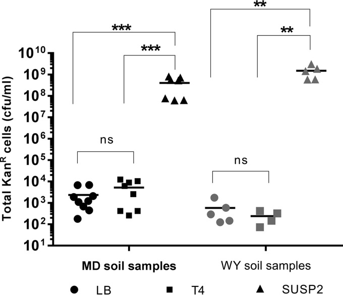 FIG 4 