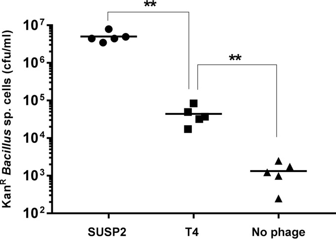 FIG 5 