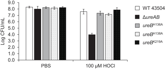 FIG 2