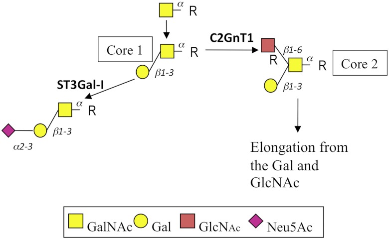 FIGURE 1.