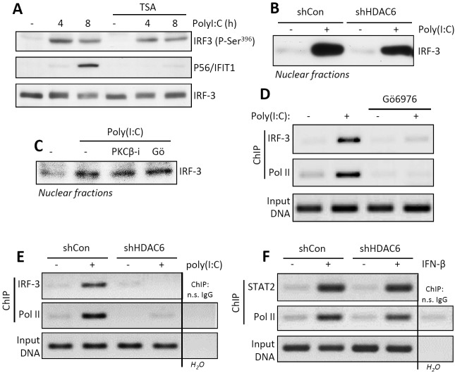 FIG 2 