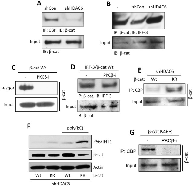 FIG 4 