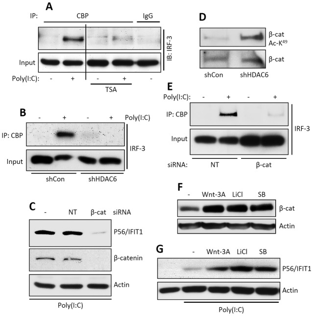 FIG 3 