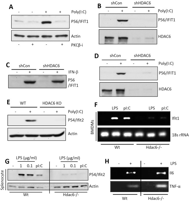 FIG 1 