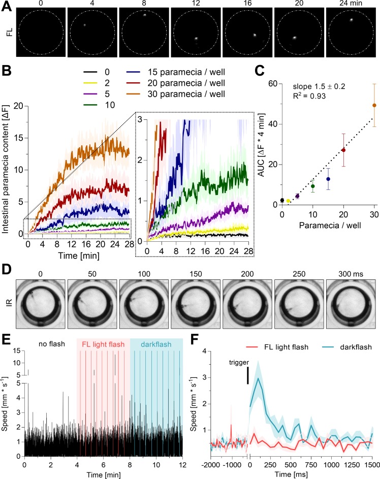 Fig. 4.