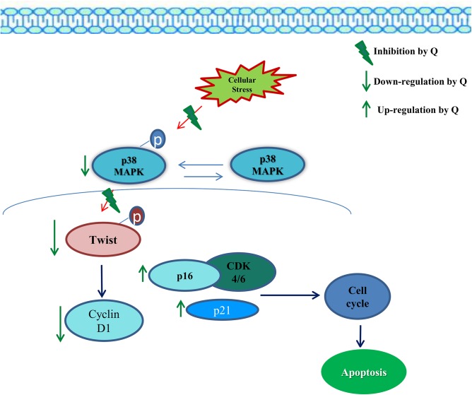 Fig 11