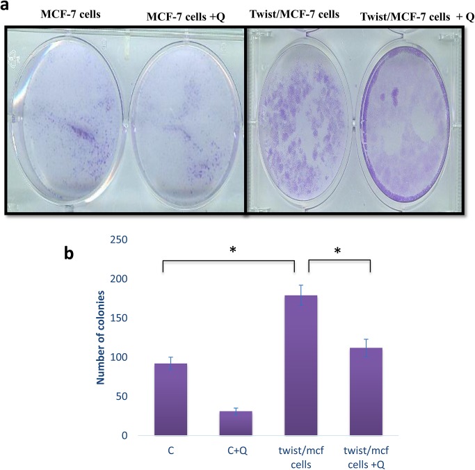 Fig 10