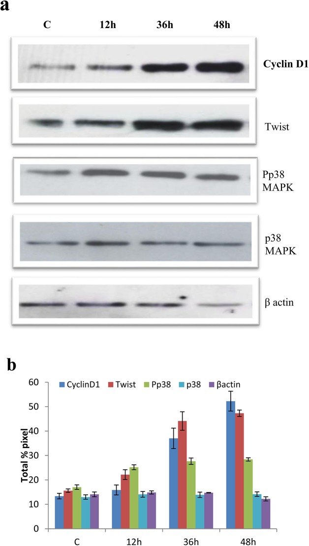 Fig 7