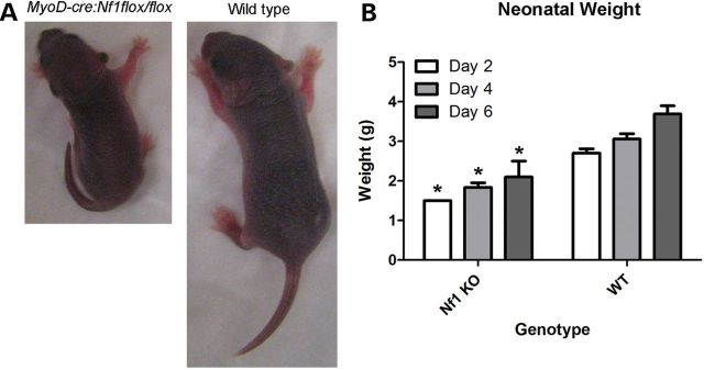 Figure 4.