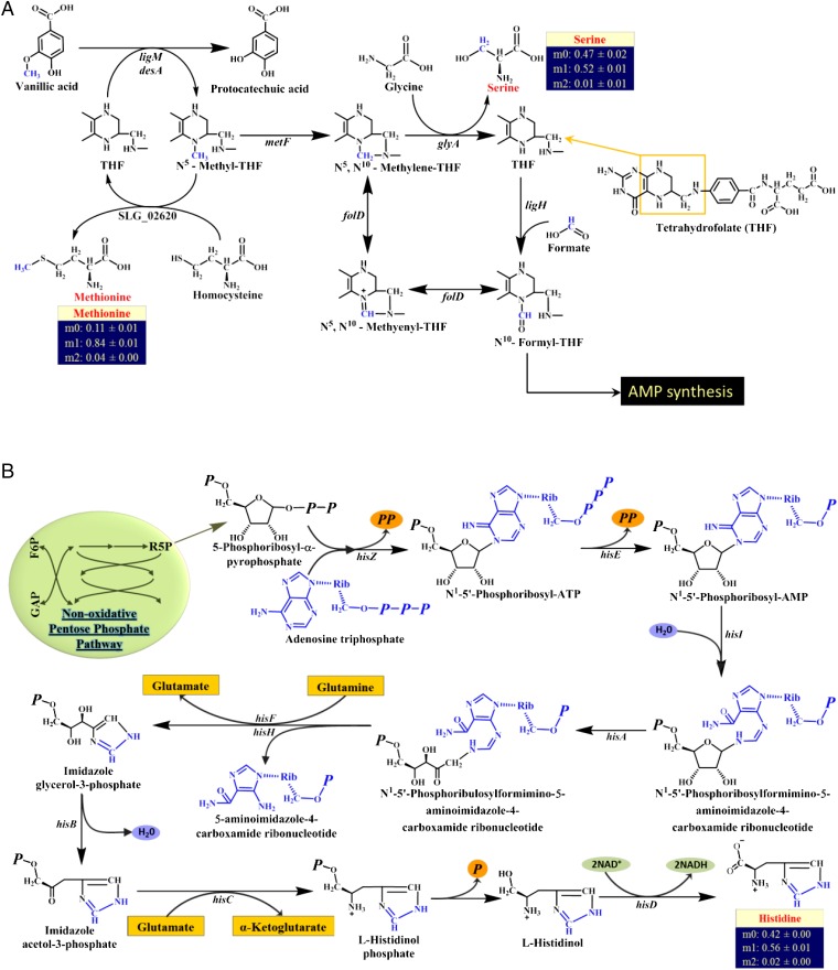 Fig. 4.