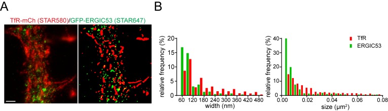 Figure 5—figure supplement 3.