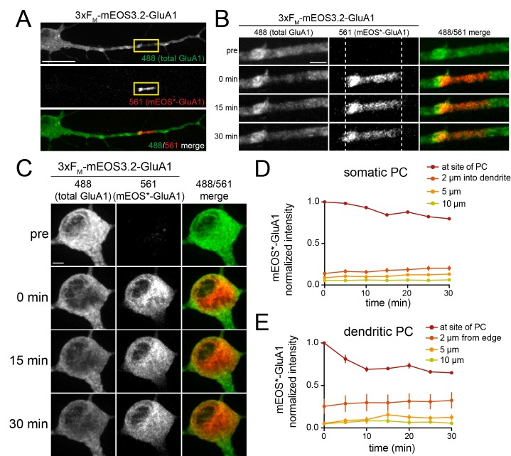 Figure 2—figure supplement 1.