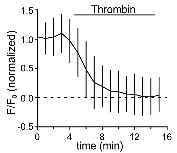 Figure 1—figure supplement 3.