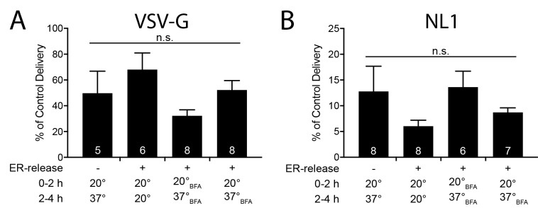 Figure 8—figure supplement 4.