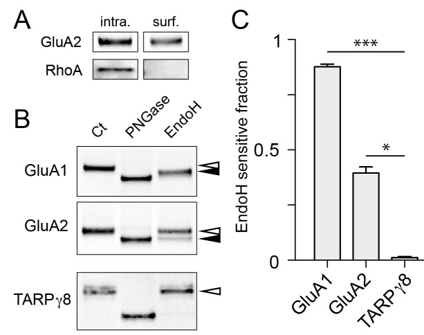 Figure 9.