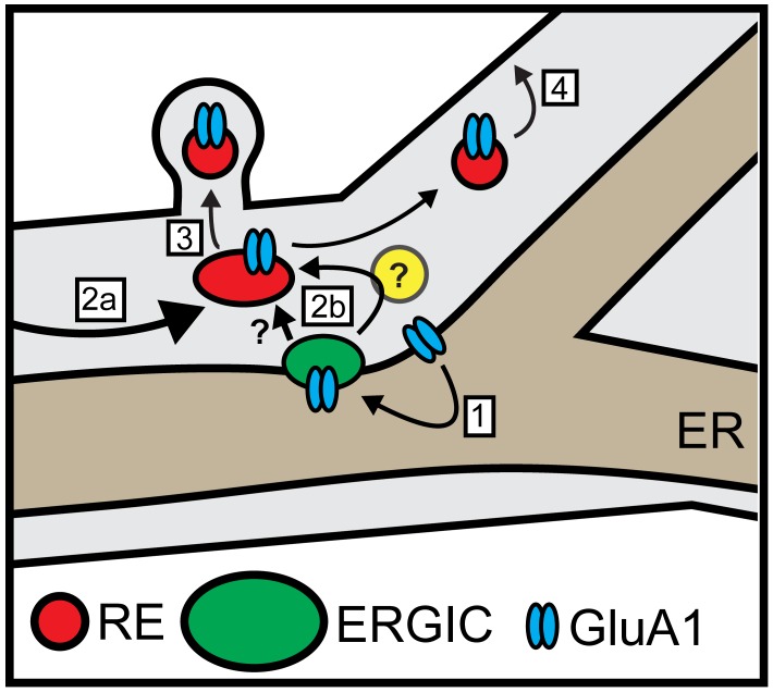 Figure 10.