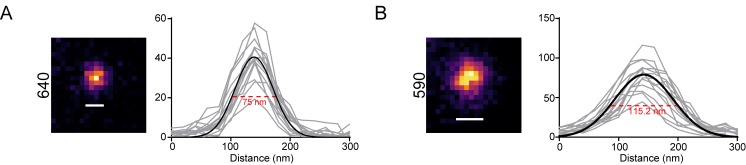 Figure 5—figure supplement 2.