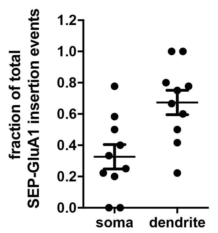 Figure 6—figure supplement 2.