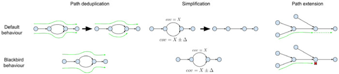 Figure 2: