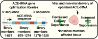 Graphical Abstract