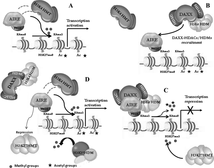 FIGURE 9.