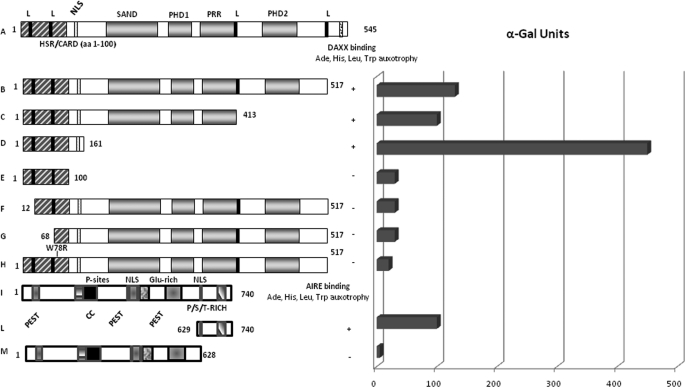 FIGURE 1.