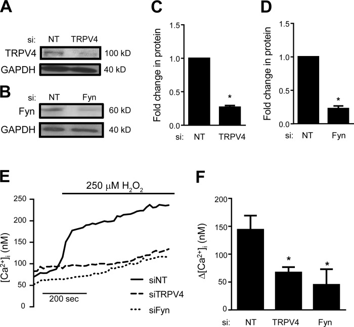 Fig. 9.