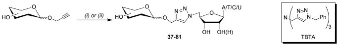 Scheme 5