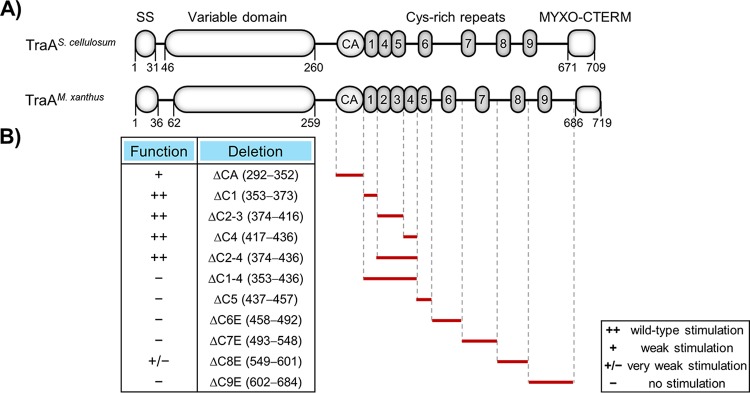 FIG 3