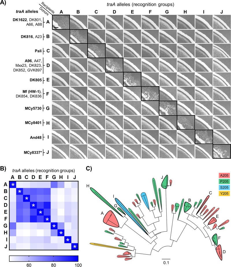 FIG 6