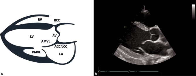 Fig. 12