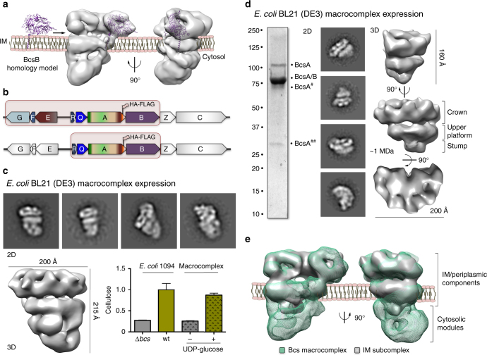 Fig. 3