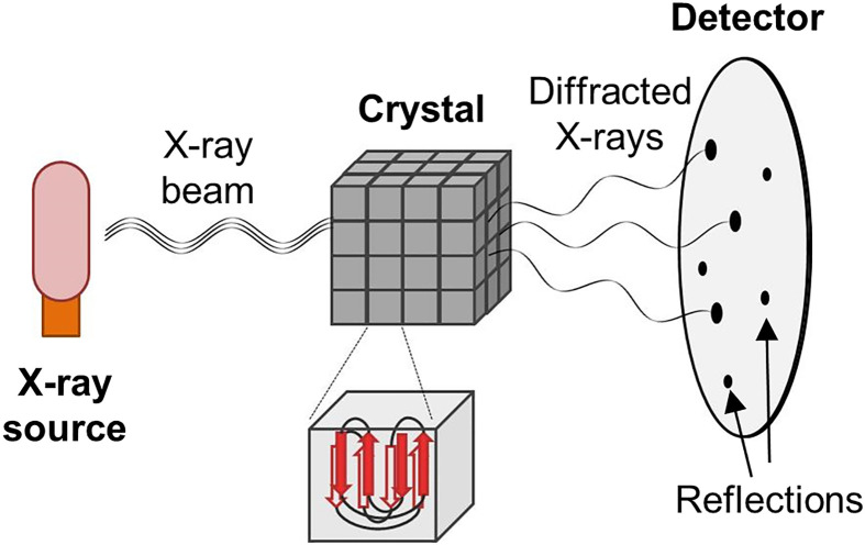 Figure 14