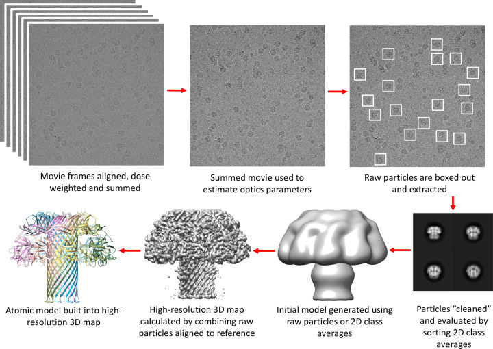 Figure 20