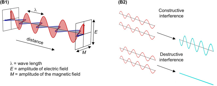 Figures B1 and B2