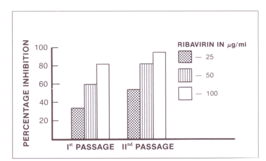 Figure 3)