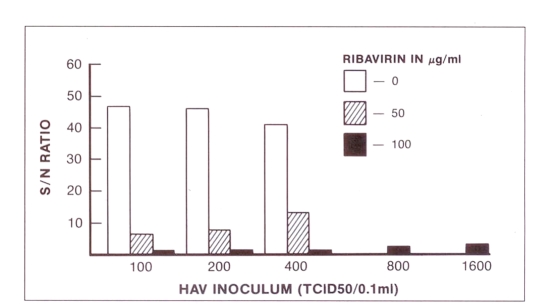 Figure 2)