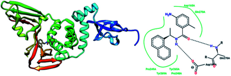 Fig. 12